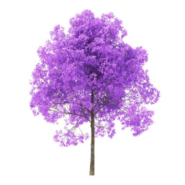 Beyaz arka planda bir ağaç. Mor yapraklı ağaç. Kırpma yolu dahil. 3d oluşturma.