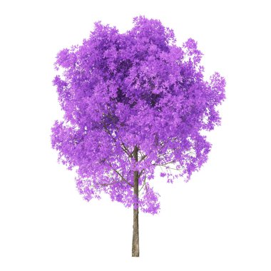 Beyaz arka planda bir ağaç. Mor yapraklı ağaç. Kırpma yolu dahil. 3d oluşturma.