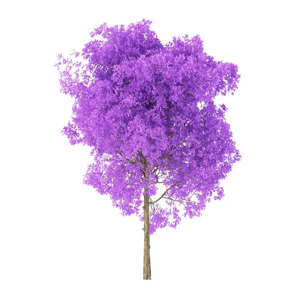 白色背景上的树 有紫色叶子的树 包括收割路径 3D渲染 — 图库照片