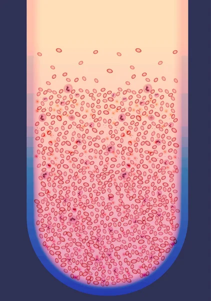 Células sanguíneas y plasma en el vial - Ilustración vectorial — Vector de stock