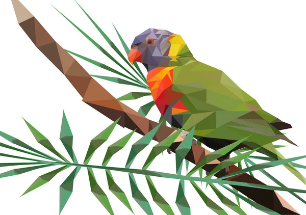 Streszczenie Low Poly papuga, Rainbow lorikeet na oddział - Il wektor — Wektor stockowy