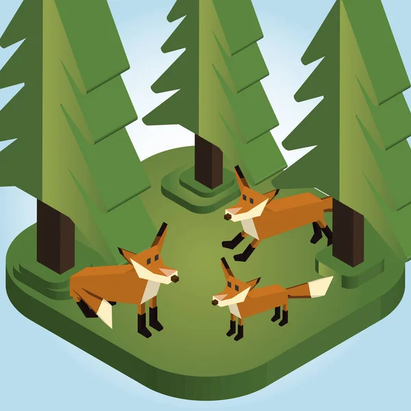 Vulpile într-un stil izometric al pădurii de pin - ilustrație vectorială — Vector de stoc