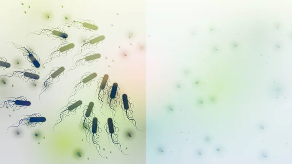 Infectado por bacterias y área desinfectada - Ilustración vectorial — Archivo Imágenes Vectoriales