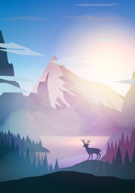 Gün batımı veya geyikten Hill üst çam ormanı ile şafak bitti Dağları 