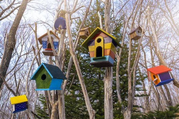Zbliżenie Domków Dla Ptaków Drzewie Domek Dla Ptaków — Zdjęcie stockowe