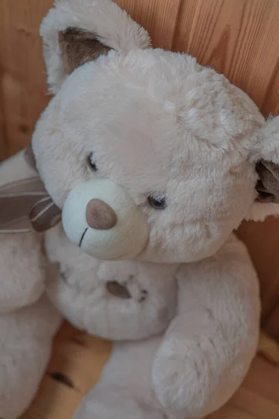 Nahaufnahme Von Oben Von Hellbraunem Teddybär — Stockfoto