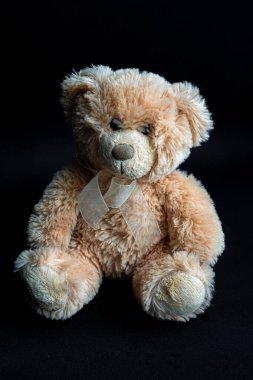 Light brown teddy bear is sitting on dark black background clipart
