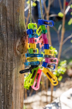 Yakından bakınca ahşap tezgahta asılı bir sürü renkli kıyafet iğnesi görünüyor.