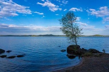 Gri taşlı bir göl manzarası, yalnız bir ağaç ve gündüz sularındaki yansımalar.