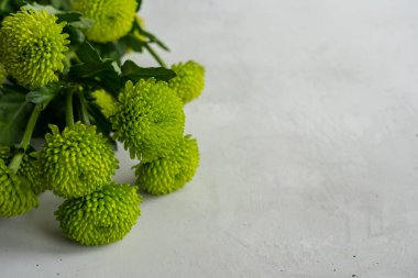 Soldaki beton yüzeyde küçük yeşil ve sarı çiçekler var.