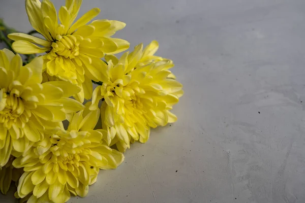 Egy Rakás Arany Százszorszép Virág Fekszik Bal Oldalon Betonon — Stock Fotó