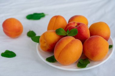 Olgun kayısılar beyaz tabakta, beyaz tekstil üzerinde yeşil nane yapraklarıyla birlikte duruyor.