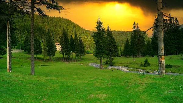 Nádherné Slunečné Ráno Horách Malebná Karpatská Krajina Létě — Stock fotografie