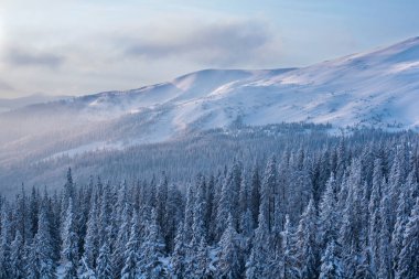 Kış Dağları, Karpatlar, kış sabahı, Ukrayna 'daki Karpatlar, Karpatlar, Masaüstünde Kış Ekran Koruyucusu