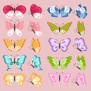 Renkli kelebekler seti, vektör çizimi
