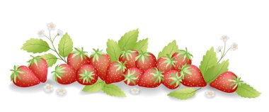 Çilek beyaz arka planda izole edilmiş. Tatlı kırmızı meyve. Vektör İllüstrasyonu.