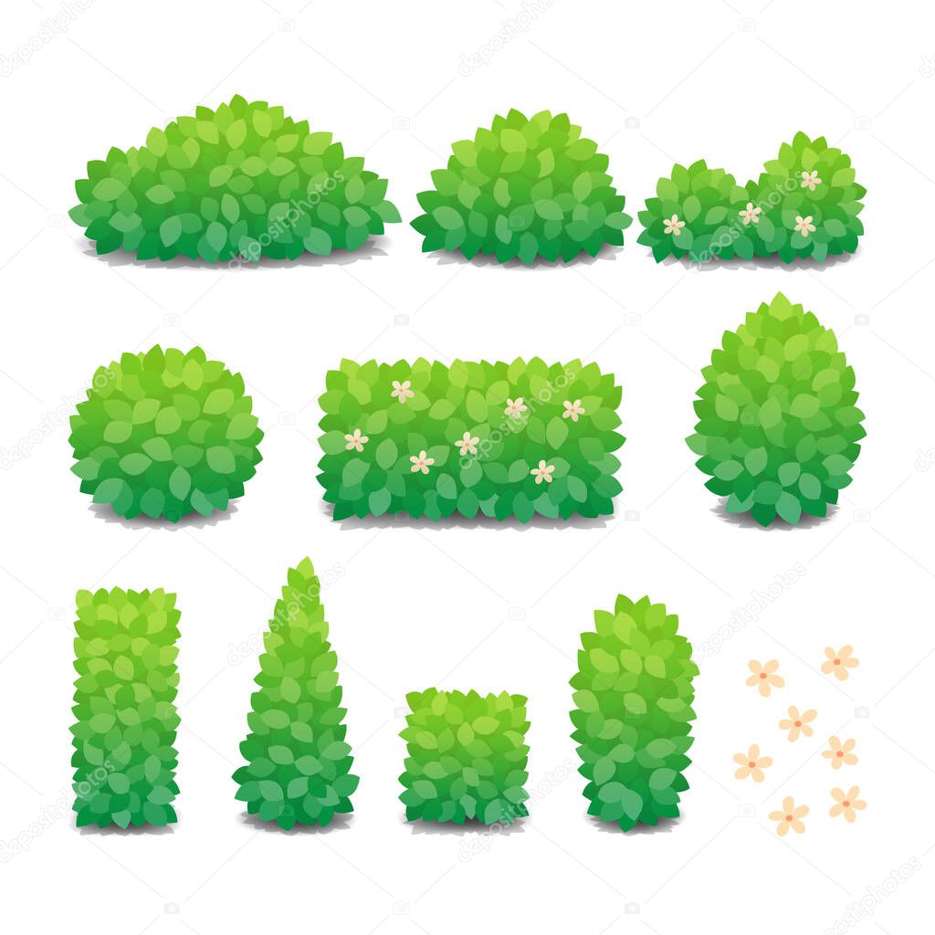 Collection of green bushes with flowers isolated on white background. Vector Illustration.