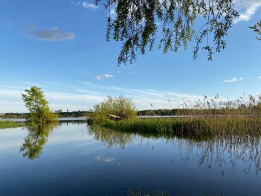 İlkbahar Mavi Rusya Nehri Fotoğraf Doğası