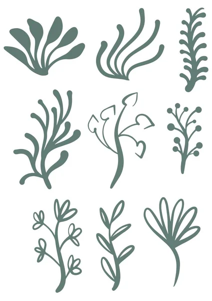 Set Linee Floreali Verdi Disegnate Mano — Vettoriale Stock