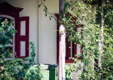 Köyde sazdan bir çatı altında beyaz bir ev.