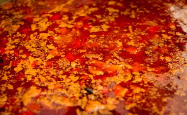 Ukrayna ulusal yemeği kırmızı borç yakın planıdır