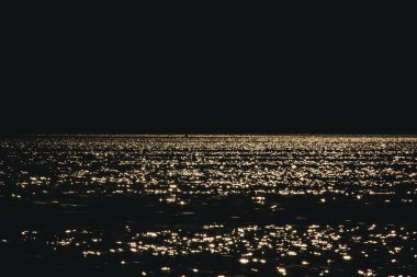 Yeşil arka planda yabani bir çiçek