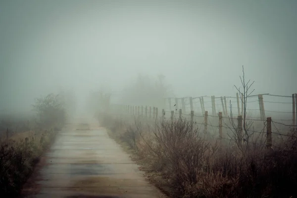 Camino Entra Niebla — Foto de Stock