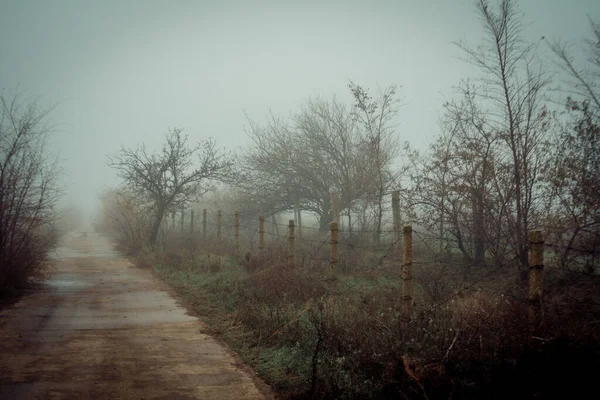 Camino Entra Niebla — Foto de Stock