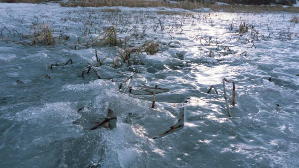 Herbe Gelée Dans Glace Turquoise Sur Étang Lac — Photo