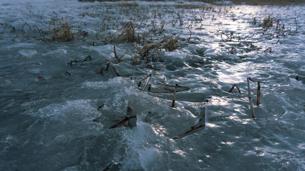 Zmrzlá Tráva Tyrkysovém Ledu Jezeře — Stock fotografie