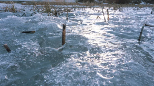 湖塘绿松石冰封的青草 — 图库照片