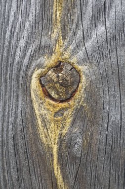 Tahta düğümünü kes Kesik bir düğümle tahtayı