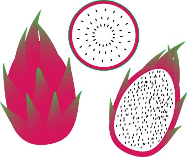 ejderha meyvesi pitahaya vektör görüntüsü tüm meyve ve dilimler