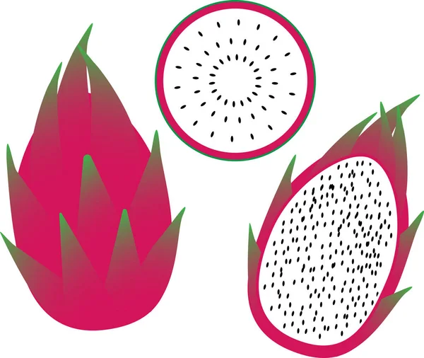 Dragón fruta pitahaya vector imagen fruta entera y rebanadas — Archivo Imágenes Vectoriales