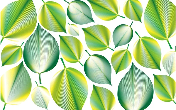 Grüne Blätter abstrakten Hintergrund natürlich — Stockvektor
