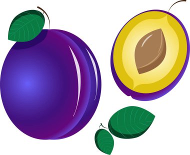 Mavi sulu erik vektör çizimi