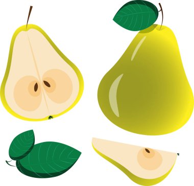 Armut yarısı, dilim vektör illüstrasyonu