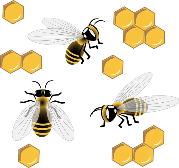 Abejas y panales imagen vectorial — Vector de stock