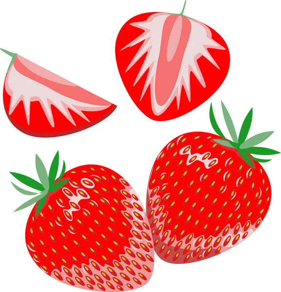 Red ripe strawberry berries vector image — Stock Vector