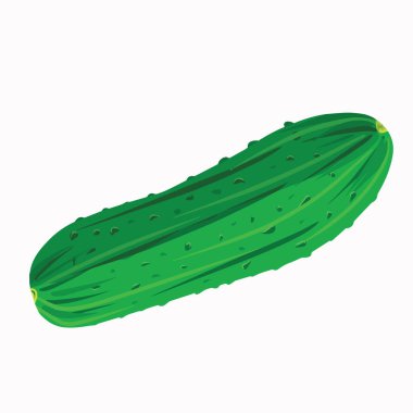 Beyaz arka planda yeşil salatalık izole edilmiş. Gerçekçi bir şekilde vektör illüstrasyonu. Baskı, poster, ürünler, tarım hasadı, böcek ilaçları için tasarım. Çiftlik hasadı konsepti GMO vegan için bedava yemek