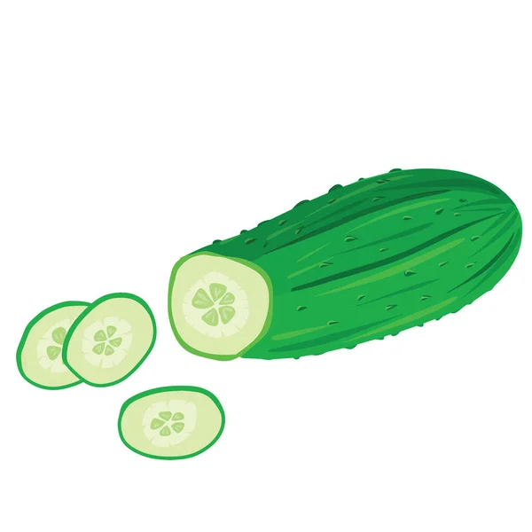 Cerrar Rodajas Pepino Aisladas Sobre Fondo Blanco Ilustración Vegetal Vectorial — Vector de stock