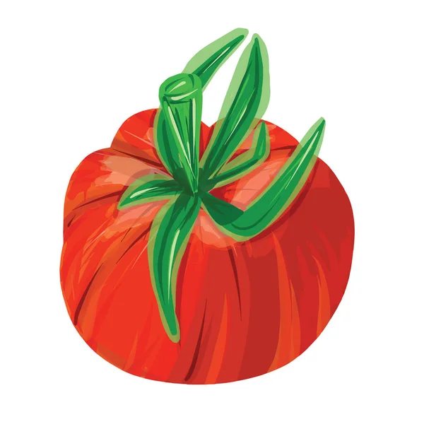 Świeże Czerwone Pomidory Izolowane Białym Tle Ręcznie Rysowane Wektor Ilustracji — Wektor stockowy