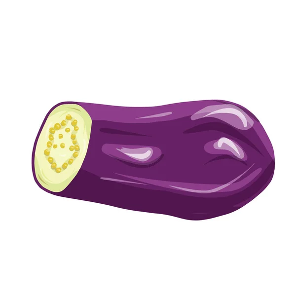 Moitié Légume Aubergine Isolé Sur Fond Blanc Illustration Vecrot Dessin — Image vectorielle