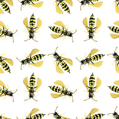 Beyaz arka planda vazosu olan kusursuz bir desen. Gerçekçi bir şekilde vektör illüstrasyonu. Ambalaj kağıdı, afiş, bal ürünleri, baskı, kıyafet, tekstil için tasarım. Duvar kağıdı dekorasyonu, hatıra defteri