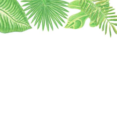 Beyaz zemin üzerinde izole edilmiş el yazısıyla suluboya kalemler ve metin için kopyalama alanı olan tropik yapraklarla üst çerçeve. Tatil kavramı, dinlenme, yaz, bahar, selamlama, davet.