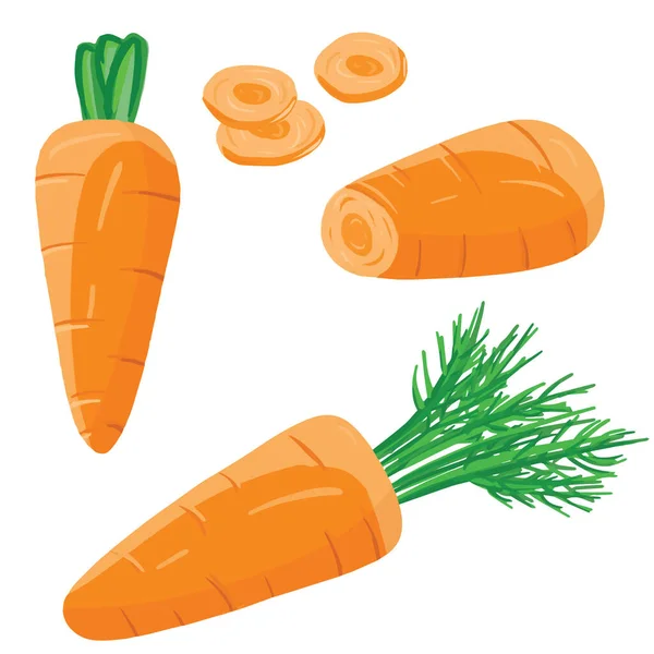 Set Fresh Carrot Greens Sliced Slices Vector Cartoon Realistic Style — Stock Vector