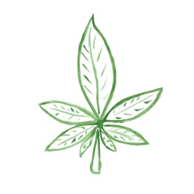 Kenevir yaprağının beyaz arka planda izole edilmiş kontur çizimi. Suluboya el resmi çizimi. Tıbbi bitkisel reçete için logo. Petrol, ilaç, güzellik, kaplıca.