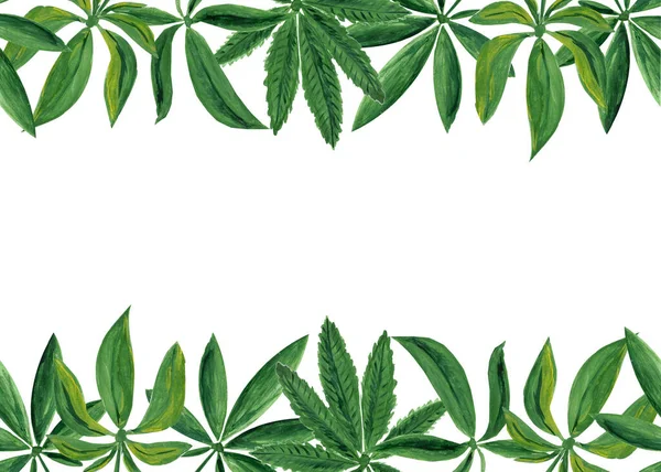 Σύνορα Χωρίς Ραφές Φύλλα Μαριχουάνας Λευκό Φόντο Υδατογραφία Gouache Ζωγραφισμένα — Φωτογραφία Αρχείου