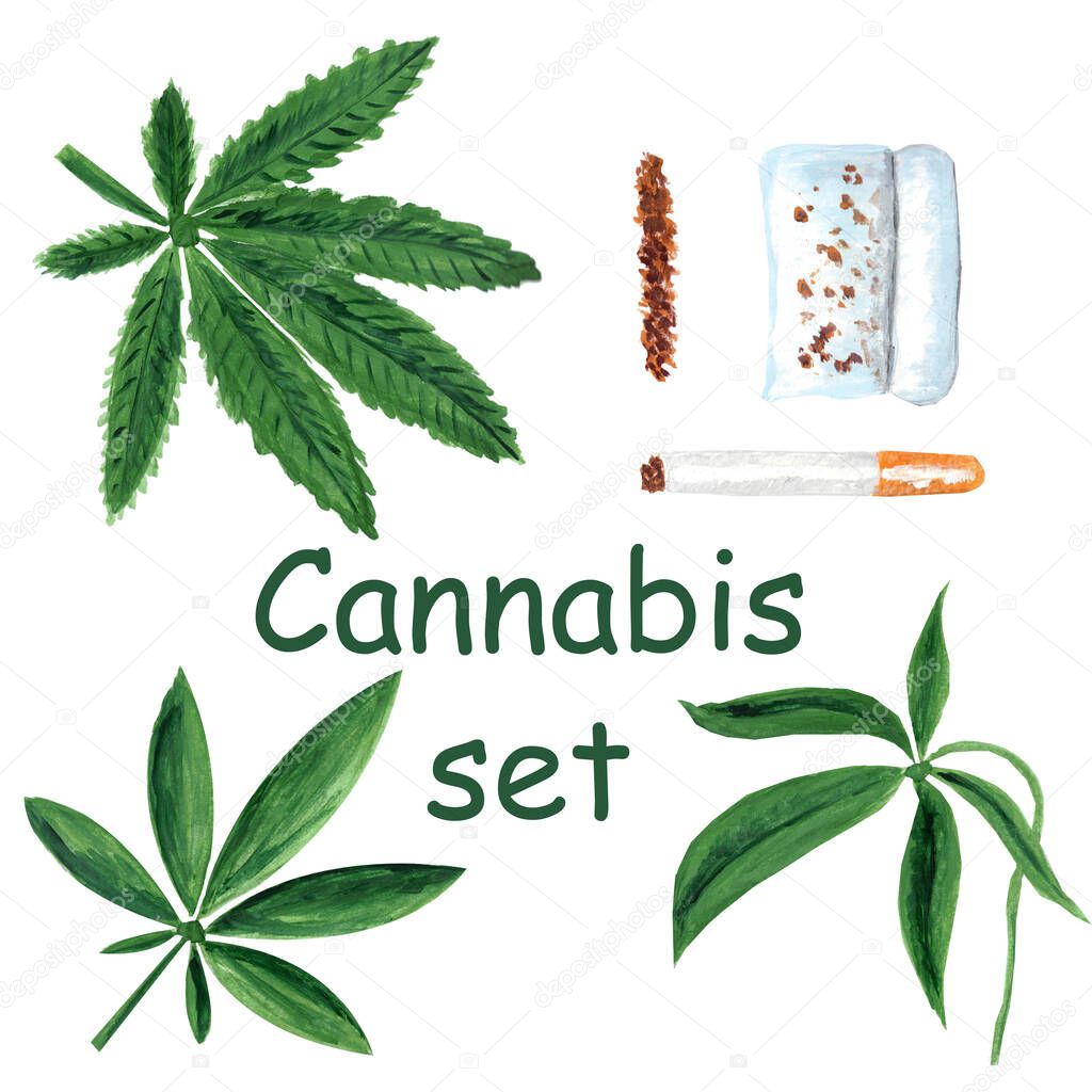 Set of marijuana cannabis leaves with hand made cigarette roll and cigarette. Watercolor gouache hand drawn illustrations. Concept of smoking, addictions, problems with legalization, narcotic
