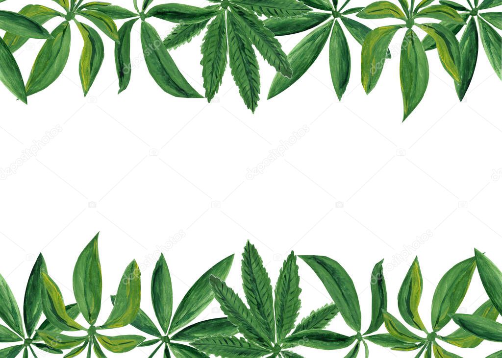 Seamless border with cannabis marijuana leaves on white background. Watercolor gouache hand drawn illustration in realistic style. Concept of smoling, plantation, drugs droduction, oil, food